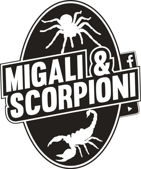 tarantole scorpioni attrezzatura animali esotici terrari bergamo milano