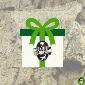 Gift Card carta regalo Migali e Scorpioni Shop tarantole scorpioni spedizioni