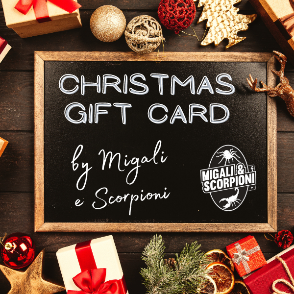 Christmas Gift Card regalo di Natale originale regalo di natale particolare tarantole scorpioni regalo per amico
