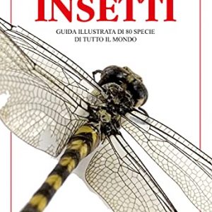 insetti libri insetti guida illustrata