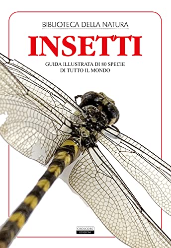 insetti libri insetti guida illustrata