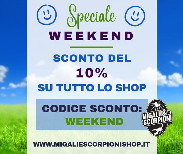 sconto weekend