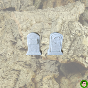 lapide decorazione per terrario