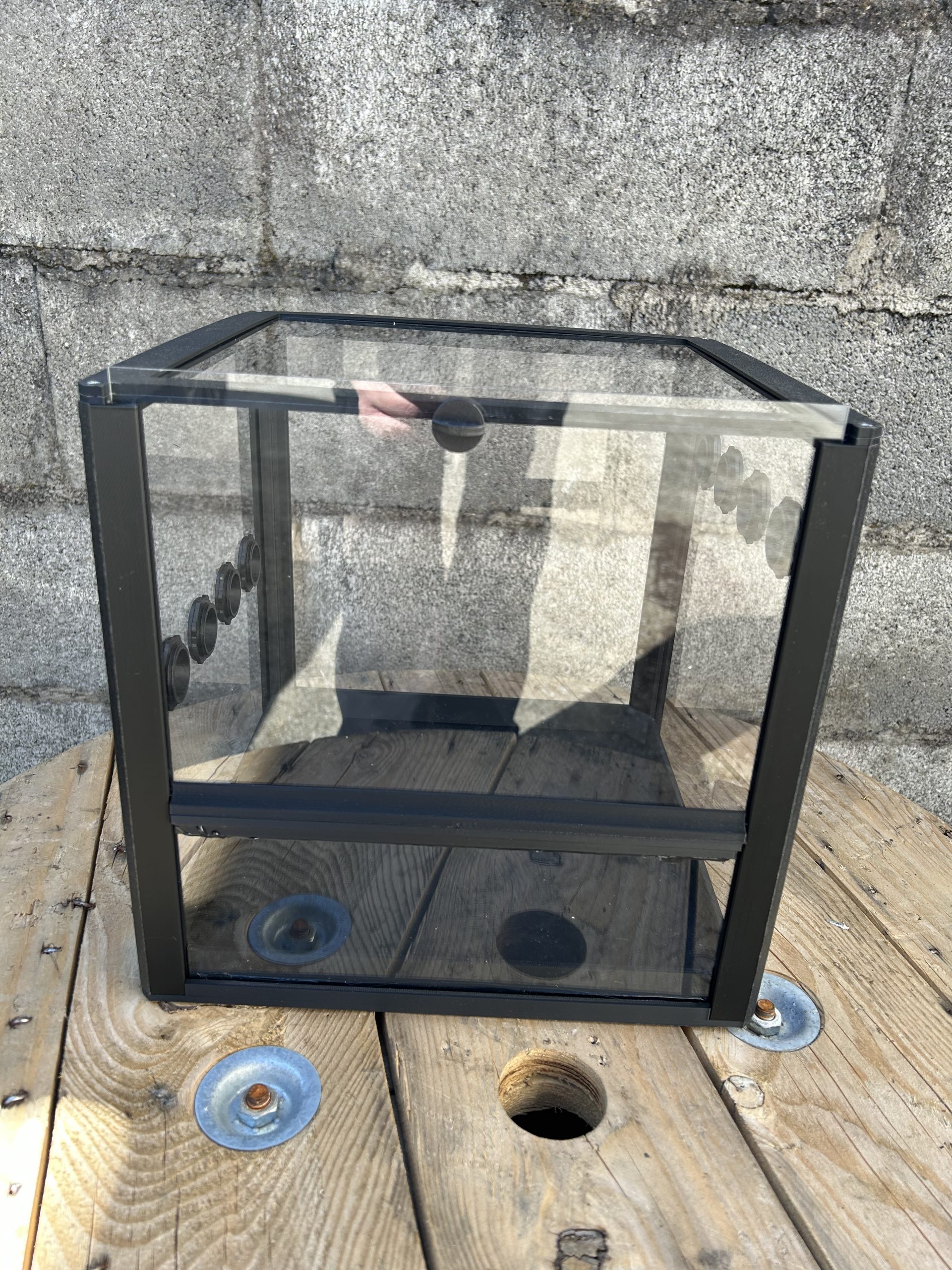30x30x30 terrario economico migali e scorpioni
