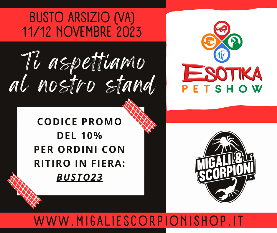 fiera animali esotici tarantole scorpioni migali e scorpioni ESOTIKA PET SHOW rettili tarantole ragni