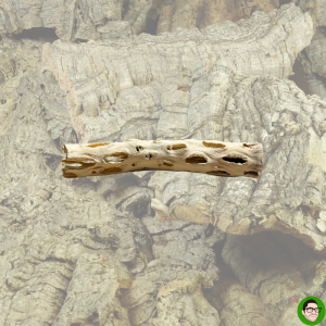 Tubolare in legno di cactus ideale come tana