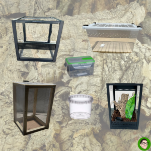 Terrari e Box