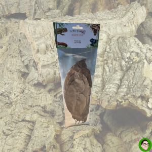 foglie di cacao essicate per terrari naturalistici