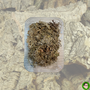 sfagno vivo pronto all uso sfagno naturale per terrari terrarium bioattivo sfagno per umidità sfagno per ambiente umido terrario
