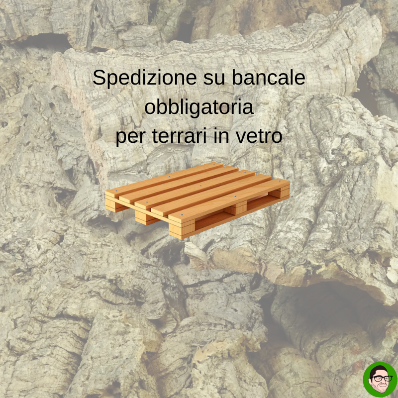 spedizione terrari spedizione terrari in vetro