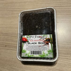 black soil substrato coleotteri