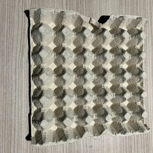 cartone delle uova