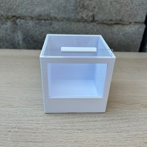 teca 10x10 migali e scorpioni